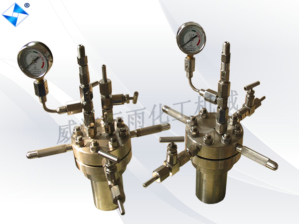 江蘇高壓水熱反應釜